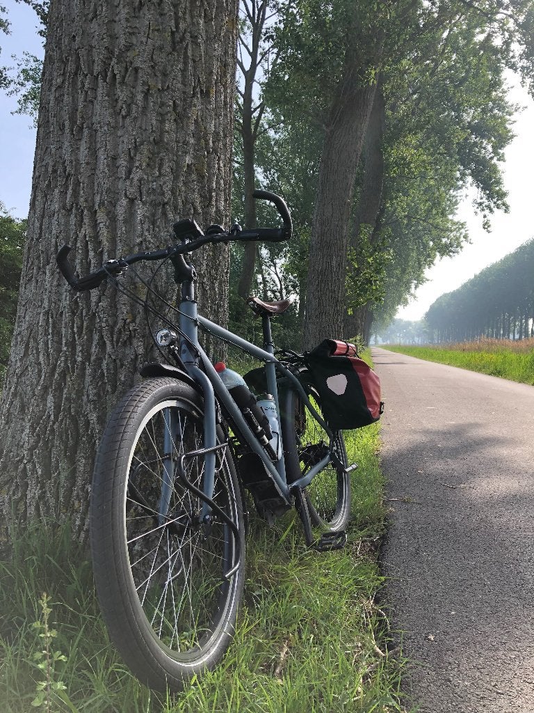 Santos Travelmaster 3+, 10 tot 15 versnellingen, Velgrem, 56 cm of meer, Ophalen
