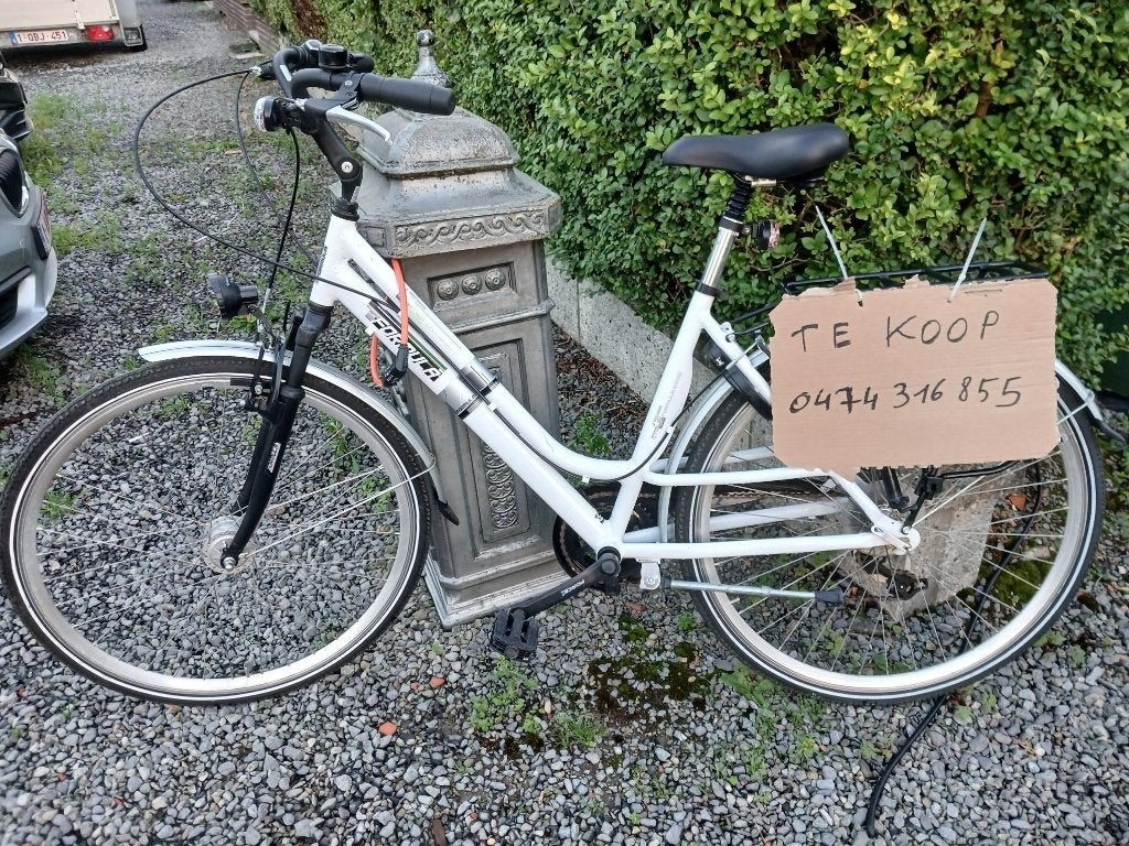 Damesfiets, Neuf, Autres marques, Vitesses, Enlèvement