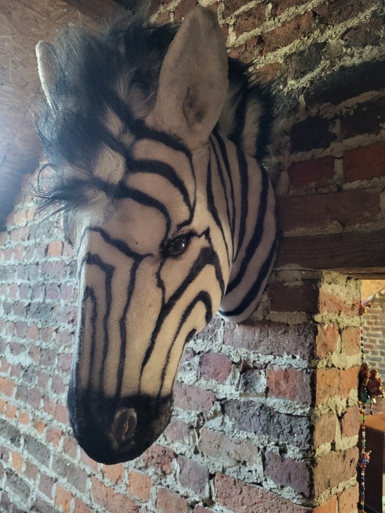 Vintage 'fake taxidermie' zebra hoofd / peluche, Ophalen of Verzenden