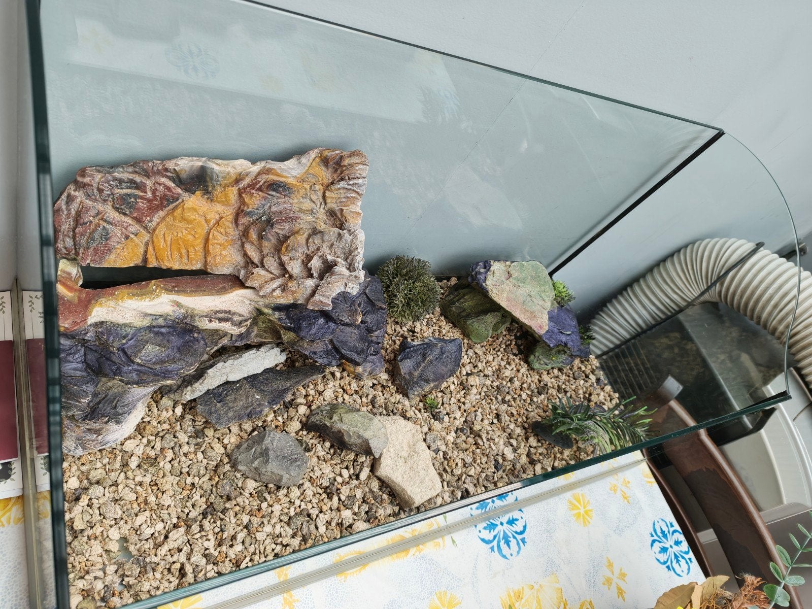Terrarium open met toebehoren en filter