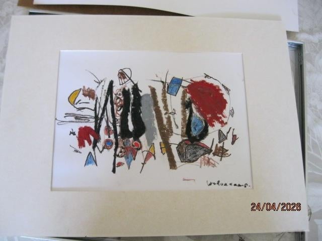 Cobra Theo Wolvecamp gesigneerd, Boeken, Ophalen of Verzenden, Zo goed als nieuw, Schilder- en Tekenkunst