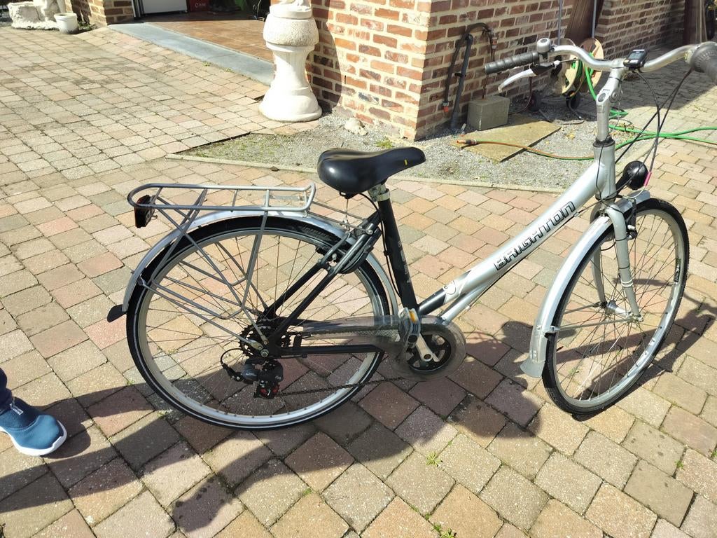 Brighton, Fietsen en Brommers, Ophalen of Verzenden, Versnellingen
