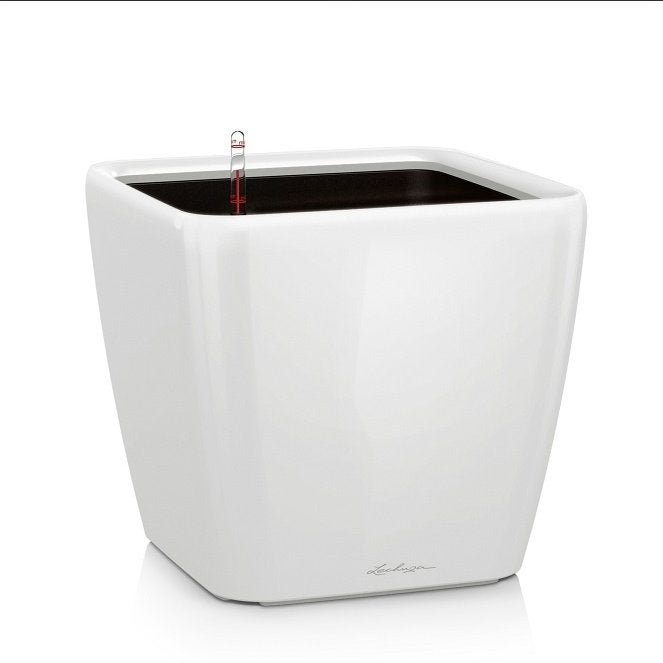 Zelfwatergevende bak voor planten / bloemen . In nieuwstaat, Overige materialen, Minder dan 60 cm, Ophalen of Verzenden, Zo goed als nieuw