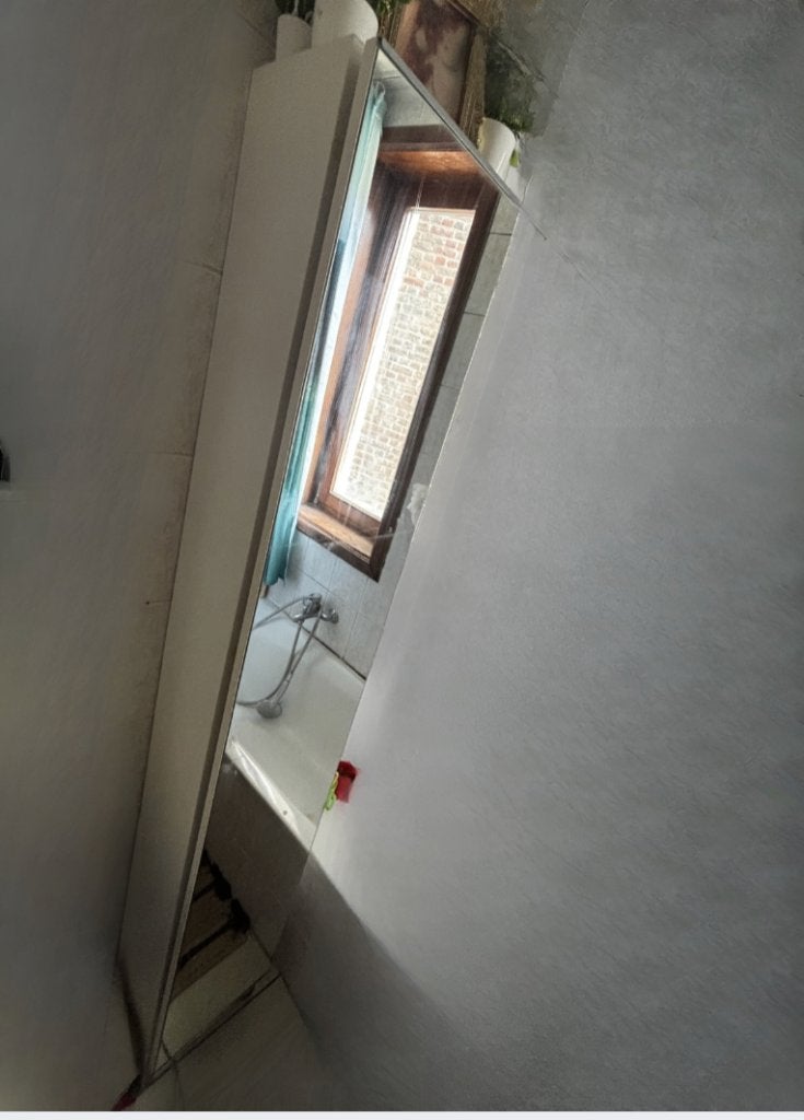 badkamerkast met spiegel, Huis en Inrichting, Badkamer | Badkamermeubels, Ophalen, Minder dan 25 cm, 150 tot 200 cm, Gebruikt