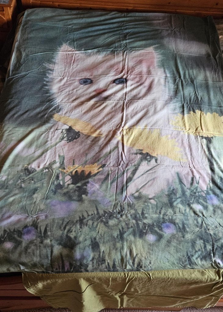 Housse de couette + taie 1 personne avec chats, Enlèvement ou Envoi, Utilisé, Une personne, Housse de couette