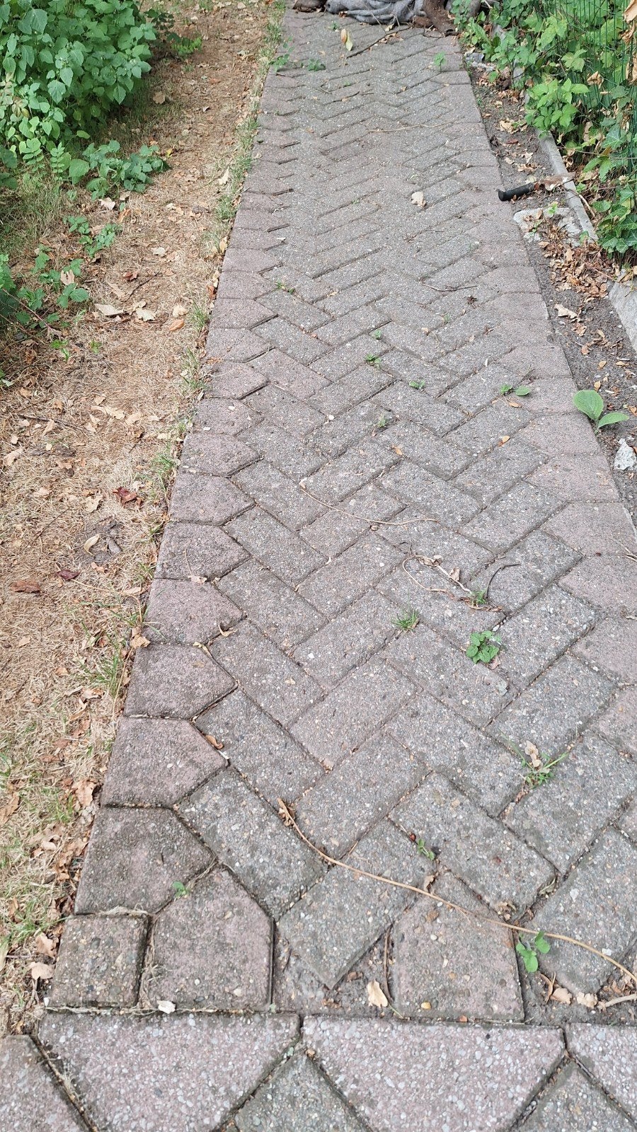 gratis terras tegels 20m², Ophalen
