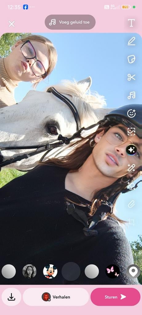 Paard gezocht, Dieren en Toebehoren, Paarden