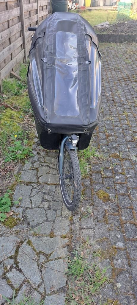 Elektrische bakfiets van het merk dolly, Fietsen en Brommers, Ophalen, Gebruikt, 2 kinderen, Elektrisch