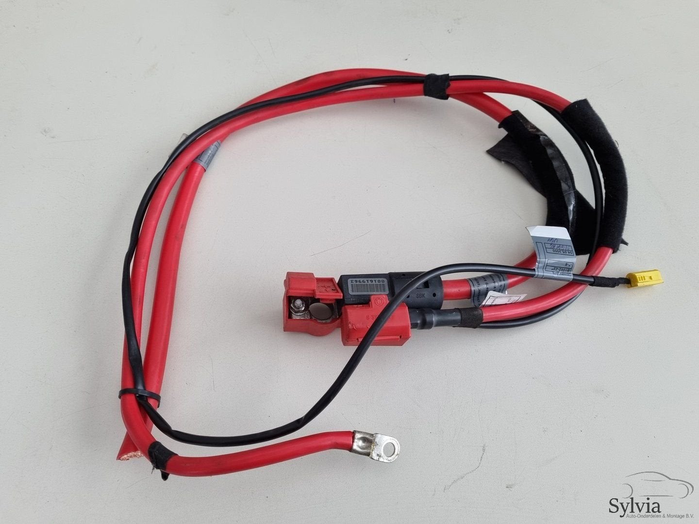 Kabelboom hoofdstroom pluskabel BMW X5 E53 met ongeval senso, -, Utilisé, -, -