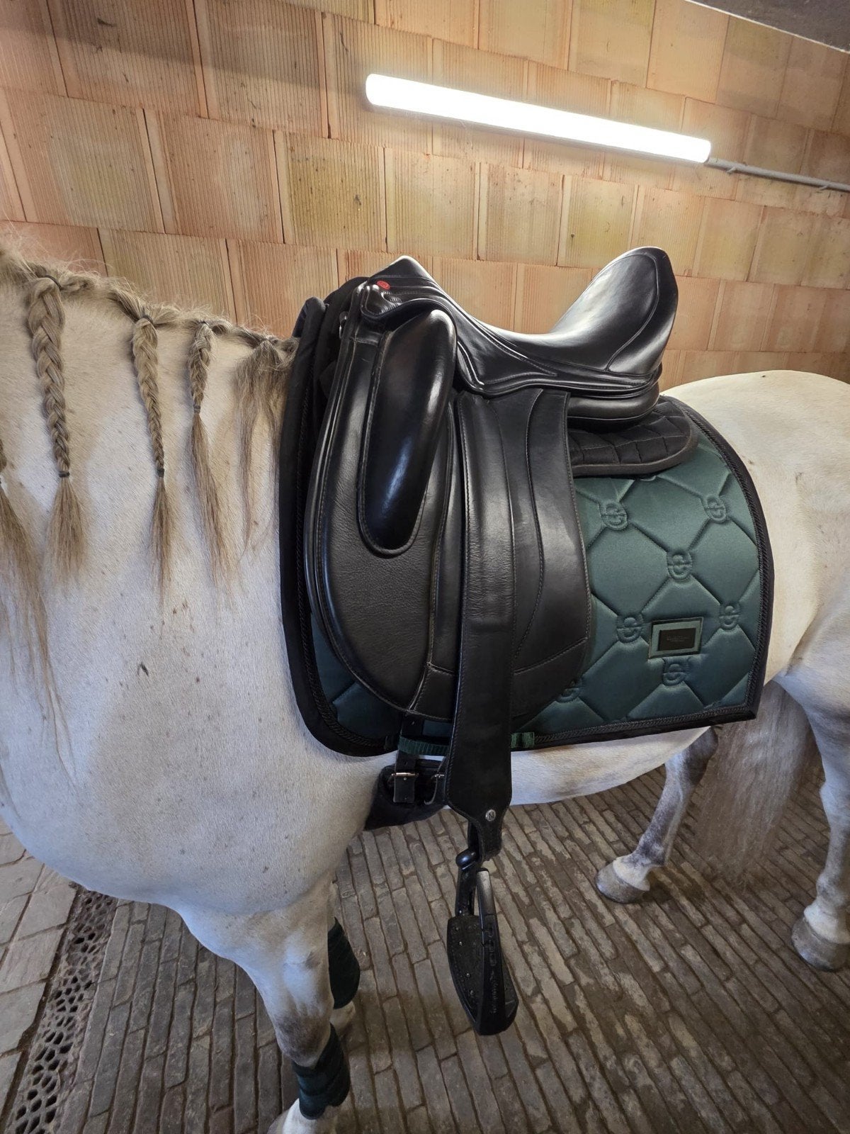 Edix Ishya 17,5inch, Dieren en Toebehoren, Ophalen, Zo goed als nieuw