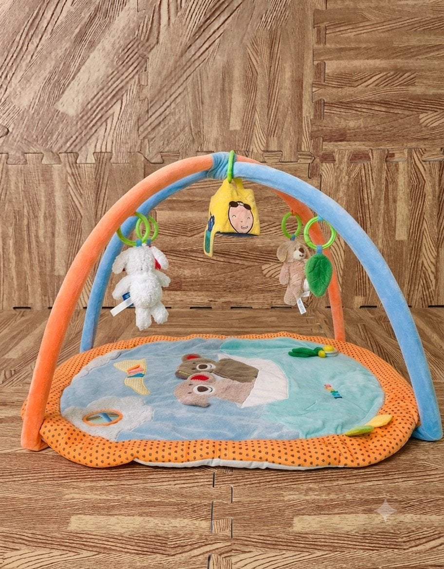 Lupilu Babygym / Speelmat met bogen, Ophalen