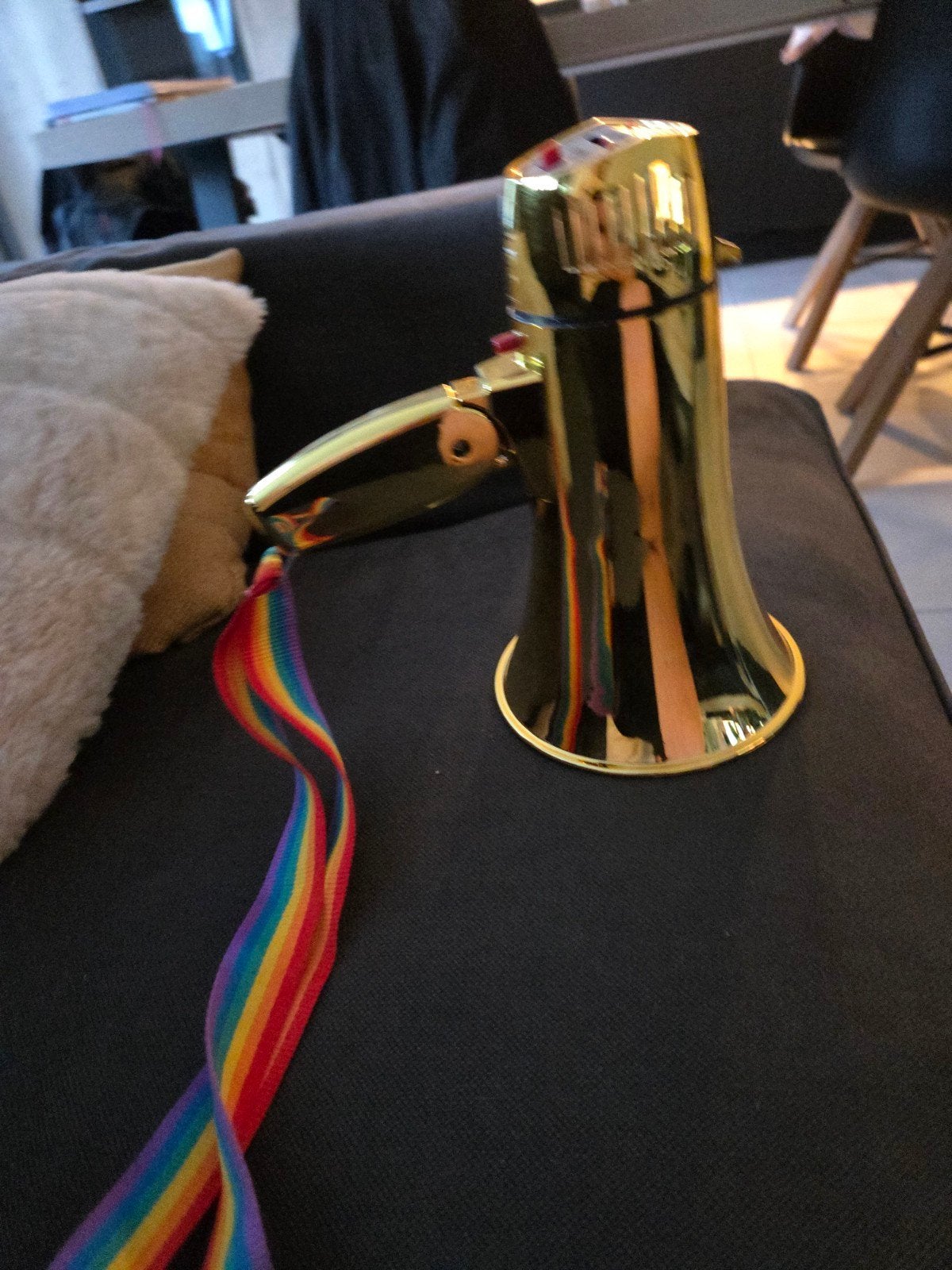 Mégaphone, Enlèvement