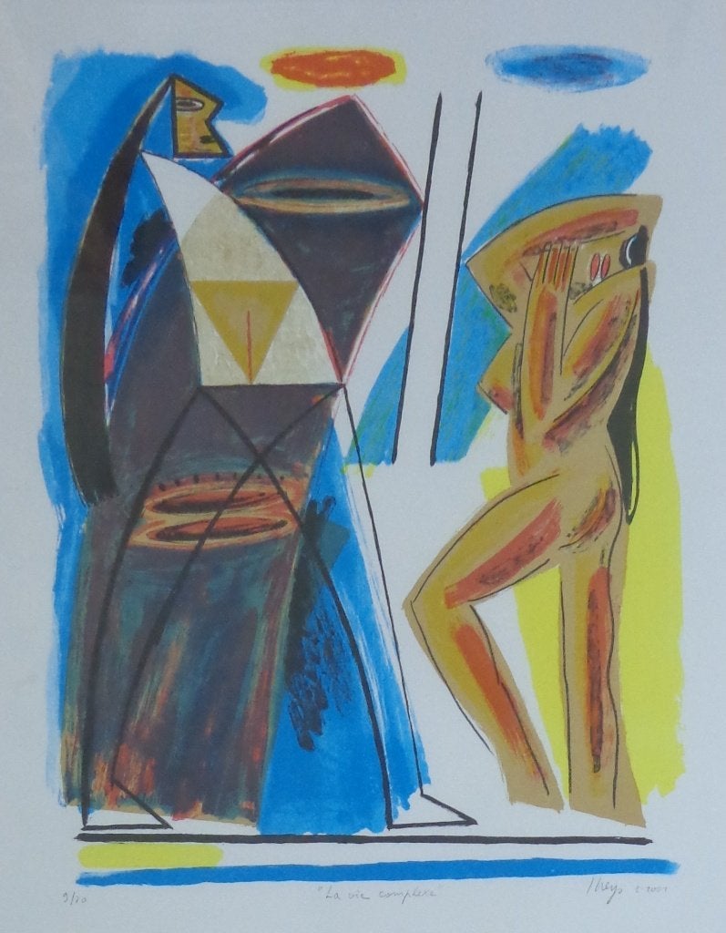 YVAN THEYS / VIE COMPLEXE / KLEURZEEFDRUK / 83x63cm / KADER, Gesigneerd, Ophalen
