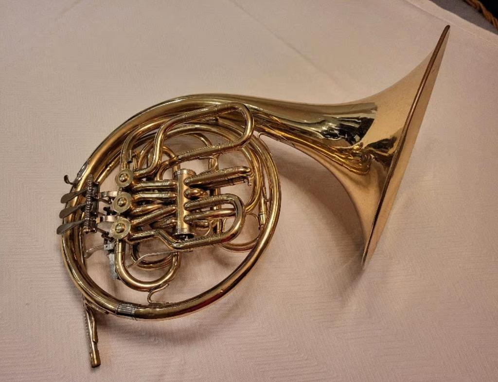 Cor double F/Sib, Musique & Instruments, Enlèvement, Utilisé, Avec valise