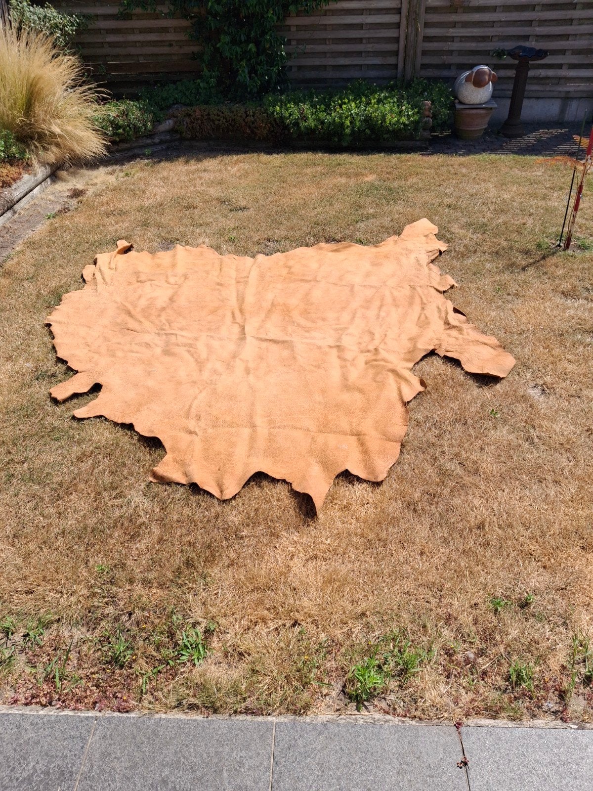Vloerkleed dierenhuid, Ophalen