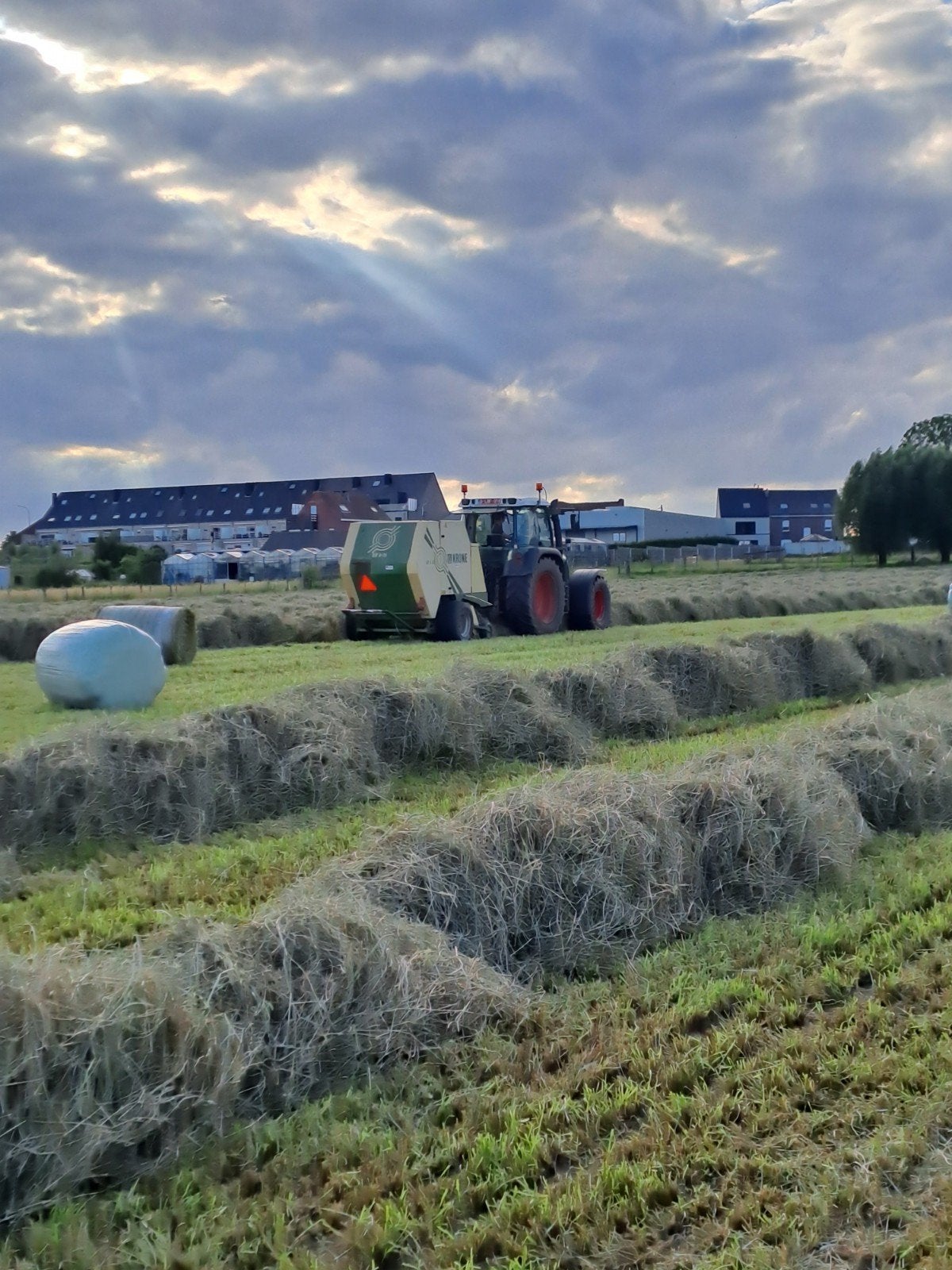 hooi- stro groot en klein vierkant of rond-> midibalen, Dieren en Toebehoren, Januari, Meerdere dieren
