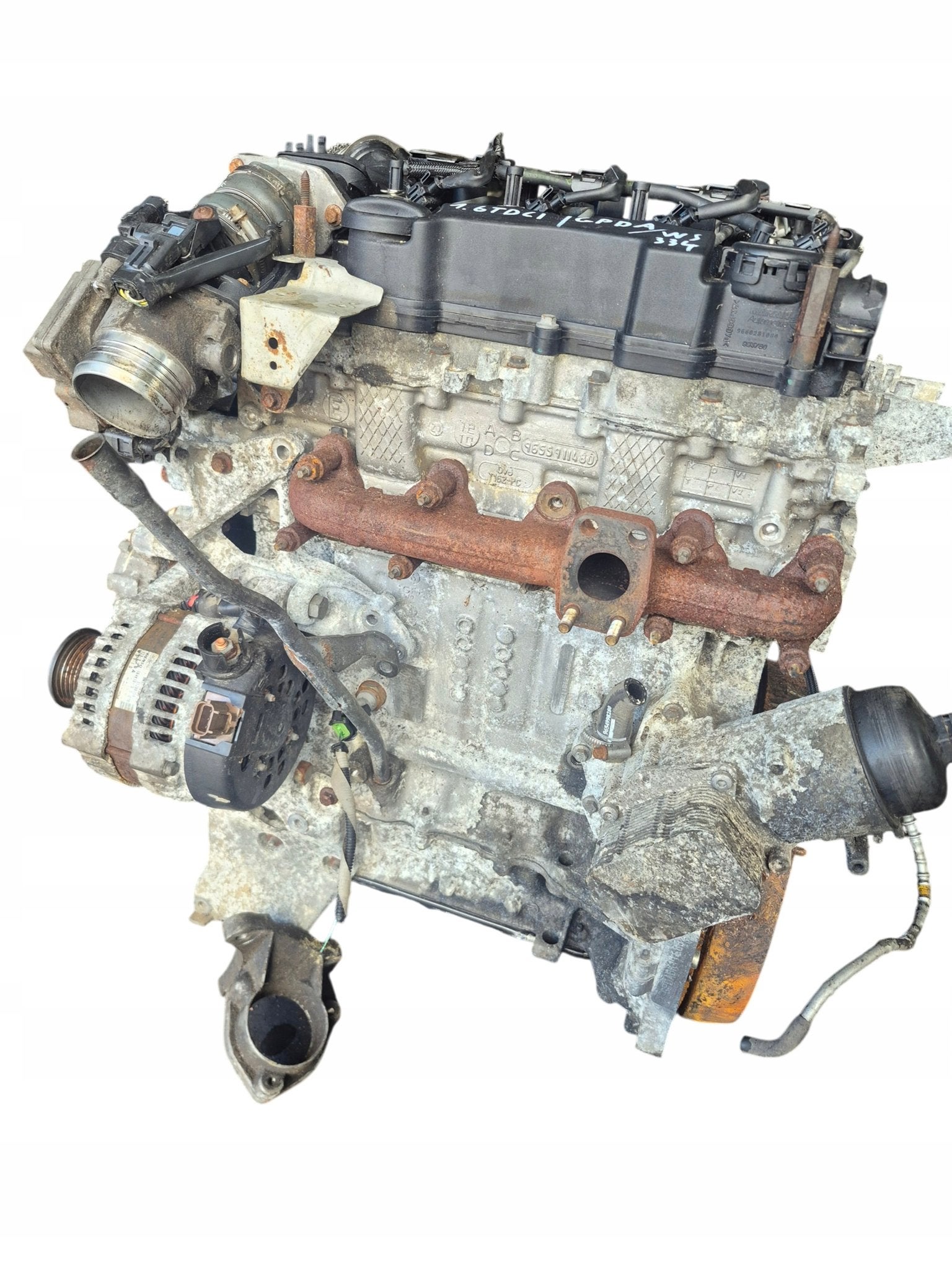 Moteur GPDA Complet FOCUS FORD, Envoi, Utilisé, Daihatsu