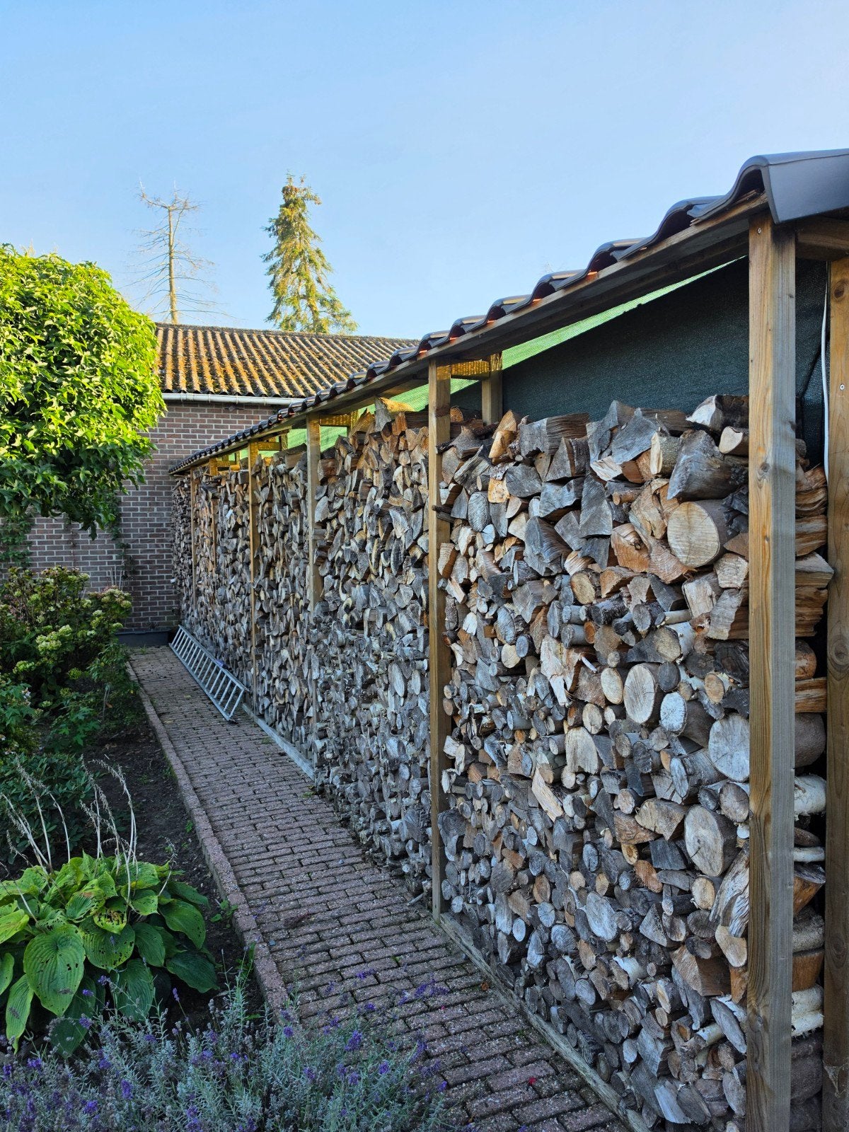 15 m³ droog kachelhout te koop., Ophalen, Overige houtsoorten