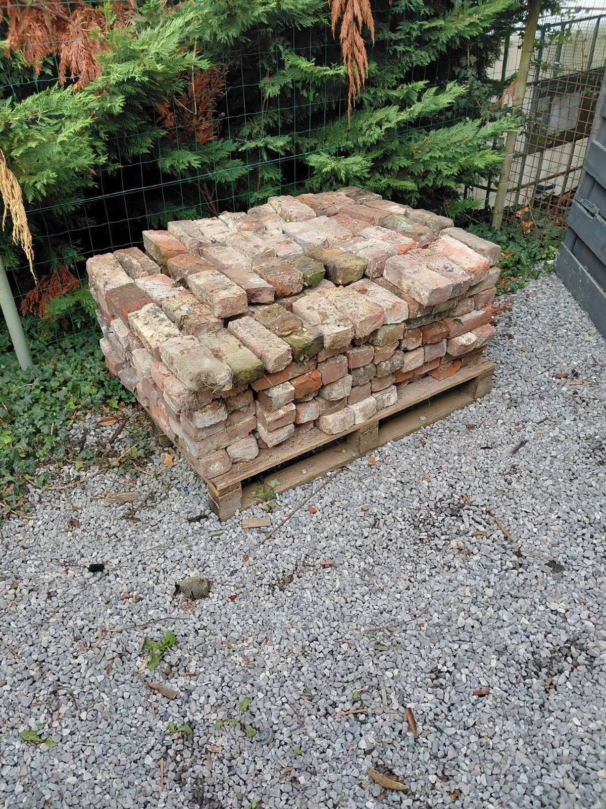 lot de 290 vieilles briques, Jardin & Terrasse, Enlèvement, Utilisé, Briques