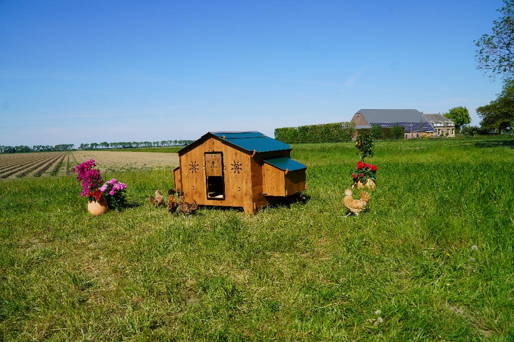 Trespa Kippenhok Cucciolotta | Chalet 4XL, Dieren en Toebehoren, Pluimvee | Toebehoren, Ophalen of Verzenden, Nieuw, Kippenhok of Kippenren
