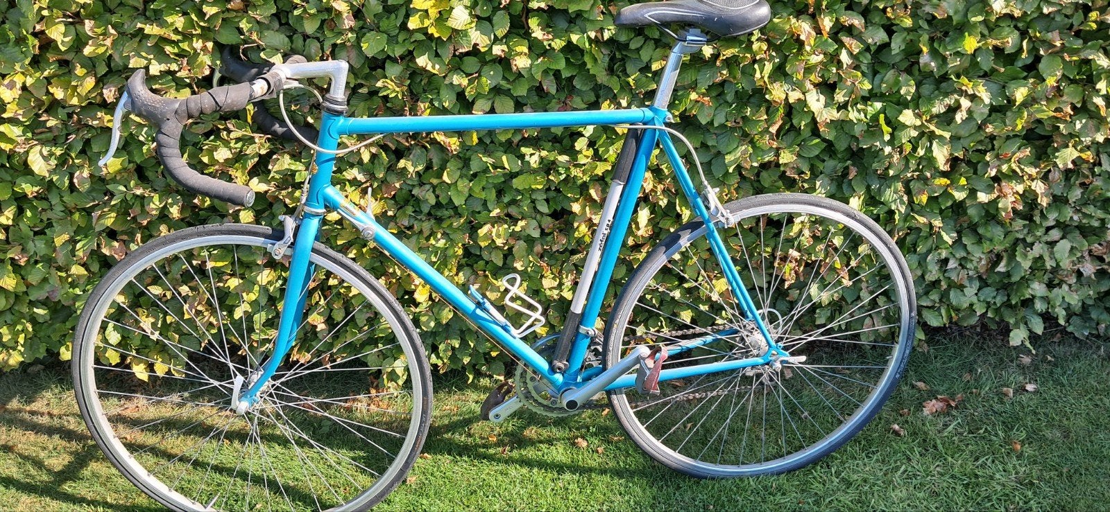 koersfiets raleigh 1995, Fietsen en Brommers, Ophalen, 10 tot 15 versnellingen