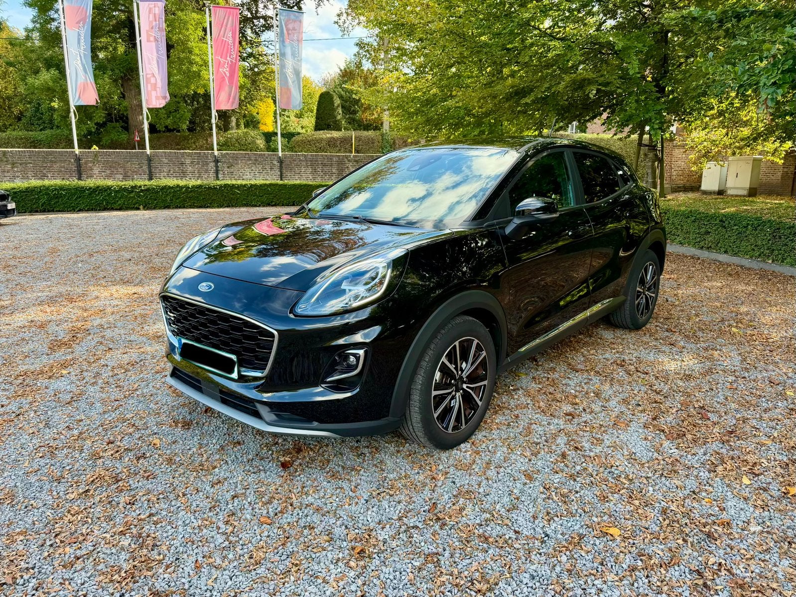FORD PUMA 1.0 ECOBOOST 125CH TITANE | LED | GARANTIE DE 12 M, Autos, https://public.car-pass.be/vhr/ecd90985-0eec-4c7a-a7bc-d1811e81e5fb