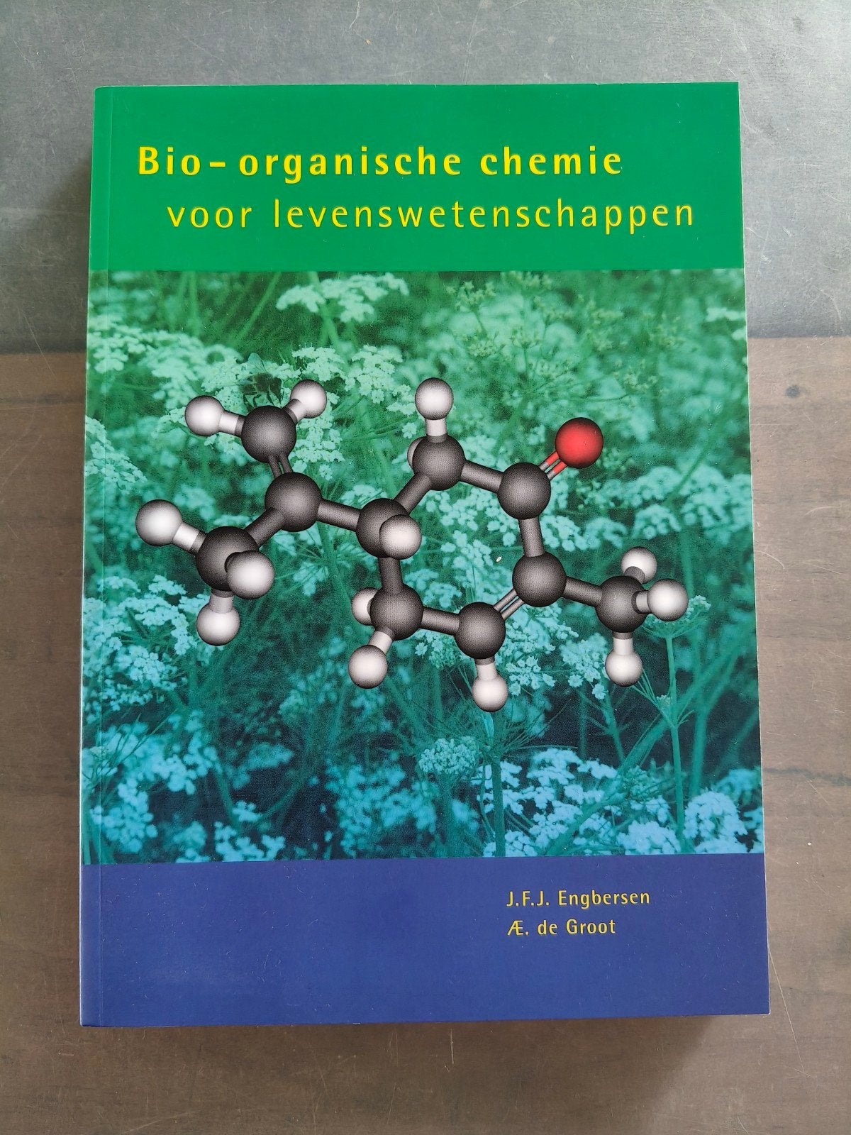 Bio-organische chemie voor levenswetenschappen, Boeken, AE. de Groot; J.F.J. Engbersen, Overige wetenschappen, Ophalen of Verzenden