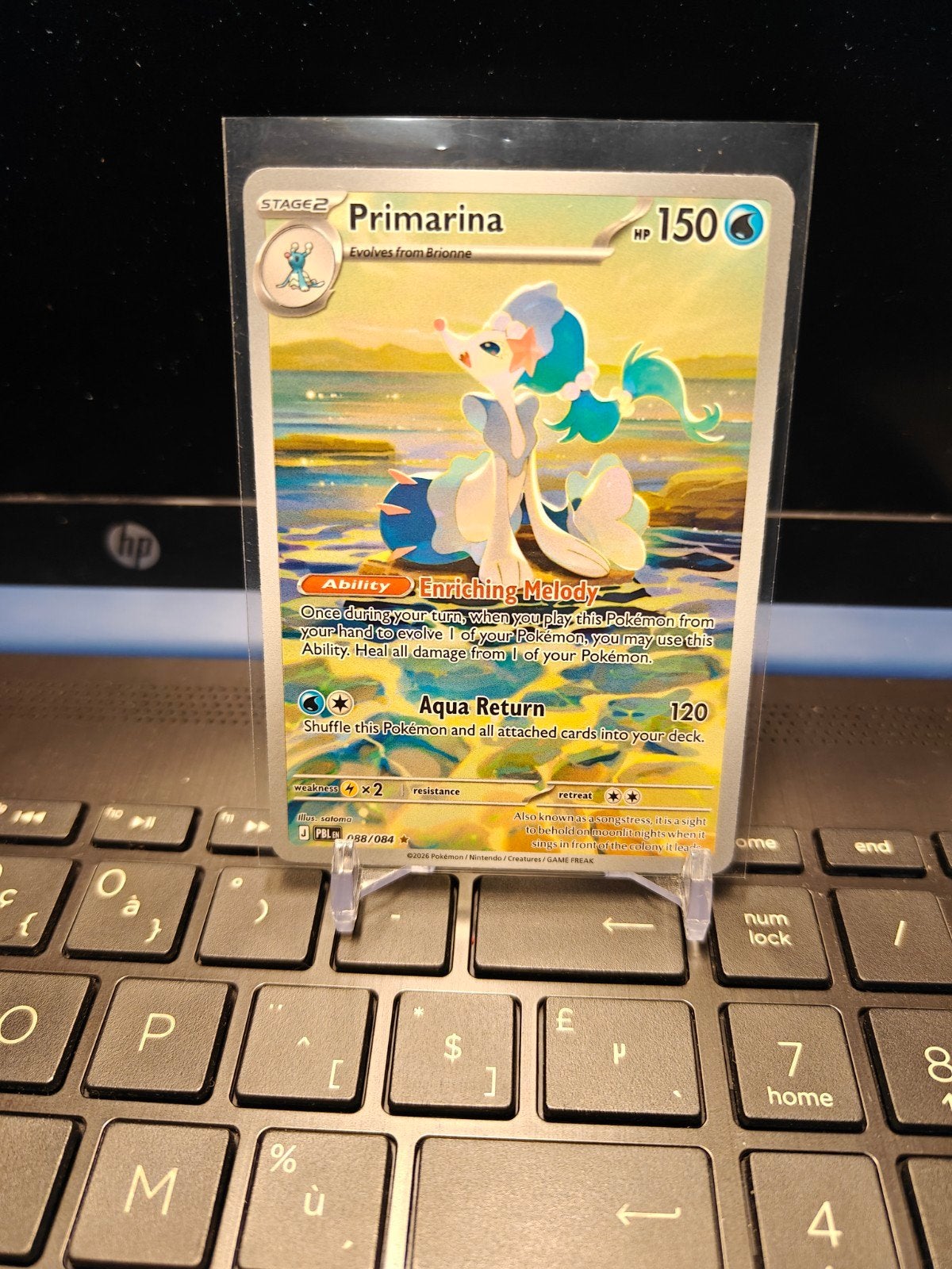 primarina, Hobby en Vrije tijd, Ophalen of Verzenden, Nieuw, Losse kaart