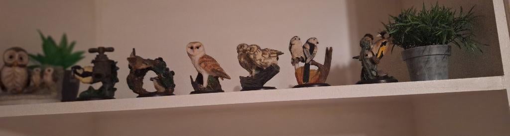 Vogelbeeldjes, Ophalen, Zo goed als nieuw, Dier