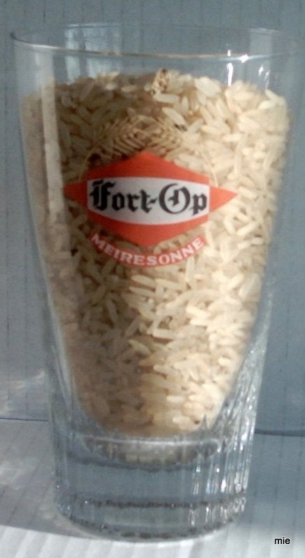 Bier brouwerij Meiresonne Fort op Gent, Verzamelen, Ophalen of Verzenden, Zo goed als nieuw
