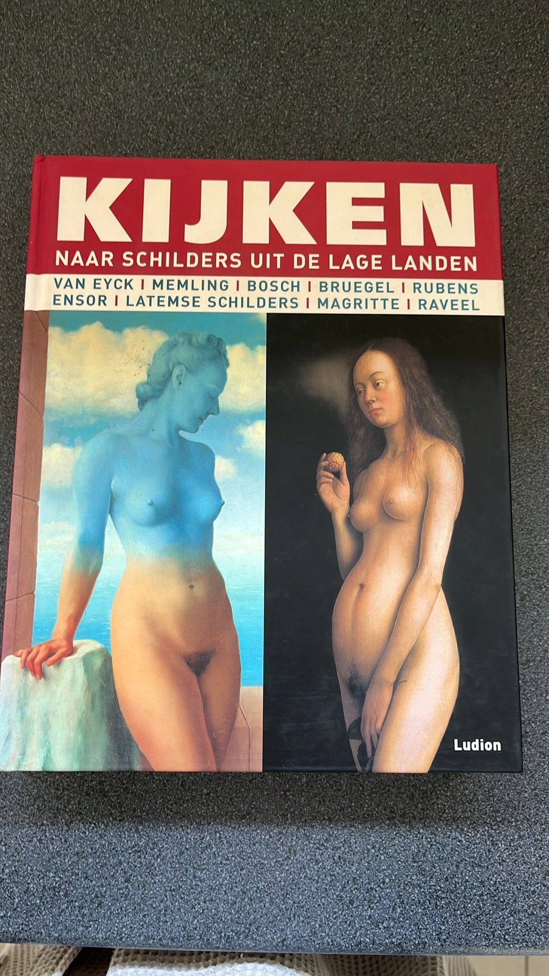 Kijken naar schilders uit de Lage Landen, Ophalen of Verzenden, Zo goed als nieuw, Schilder- en Tekenkunst