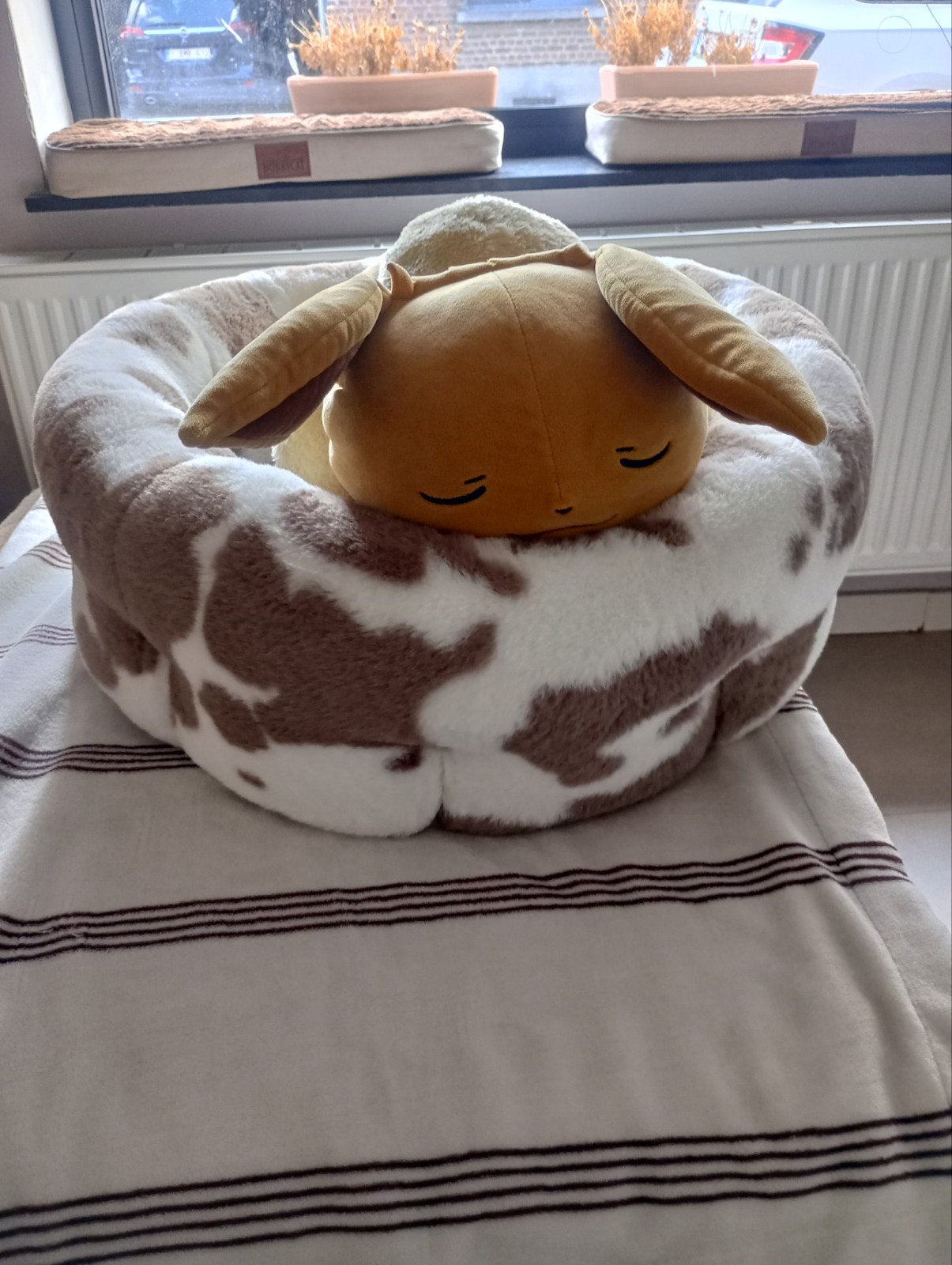 honden of katten mandje, Animaux & Accessoires, Paniers pour chiens, Enlèvement, Comme neuf, Peluche
