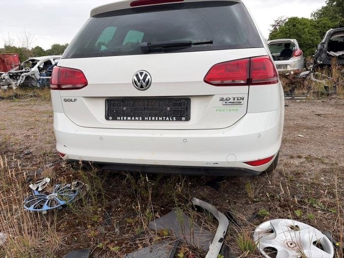 Hayon d'un Volkswagen Golf (LC9A), Volkswagen, -, Utilisé, -