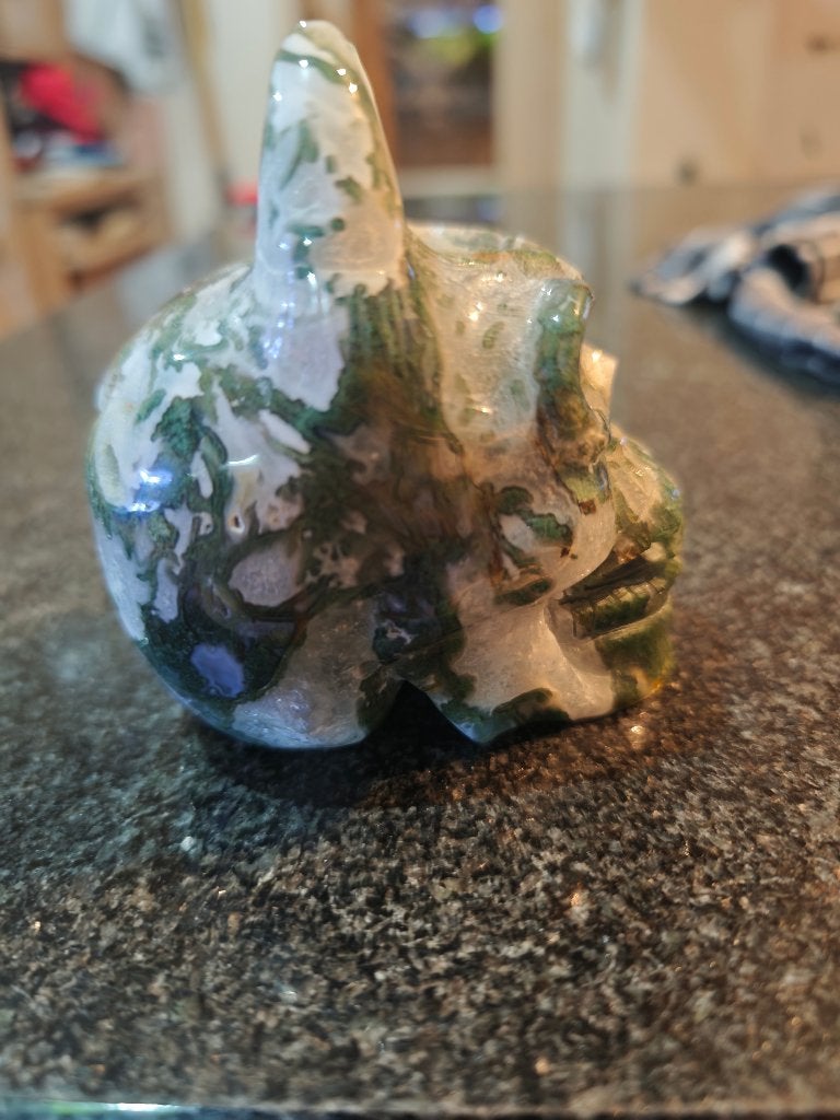Prachtige Mosagaat gargoyle kristallen schedel, Ophalen of Verzenden