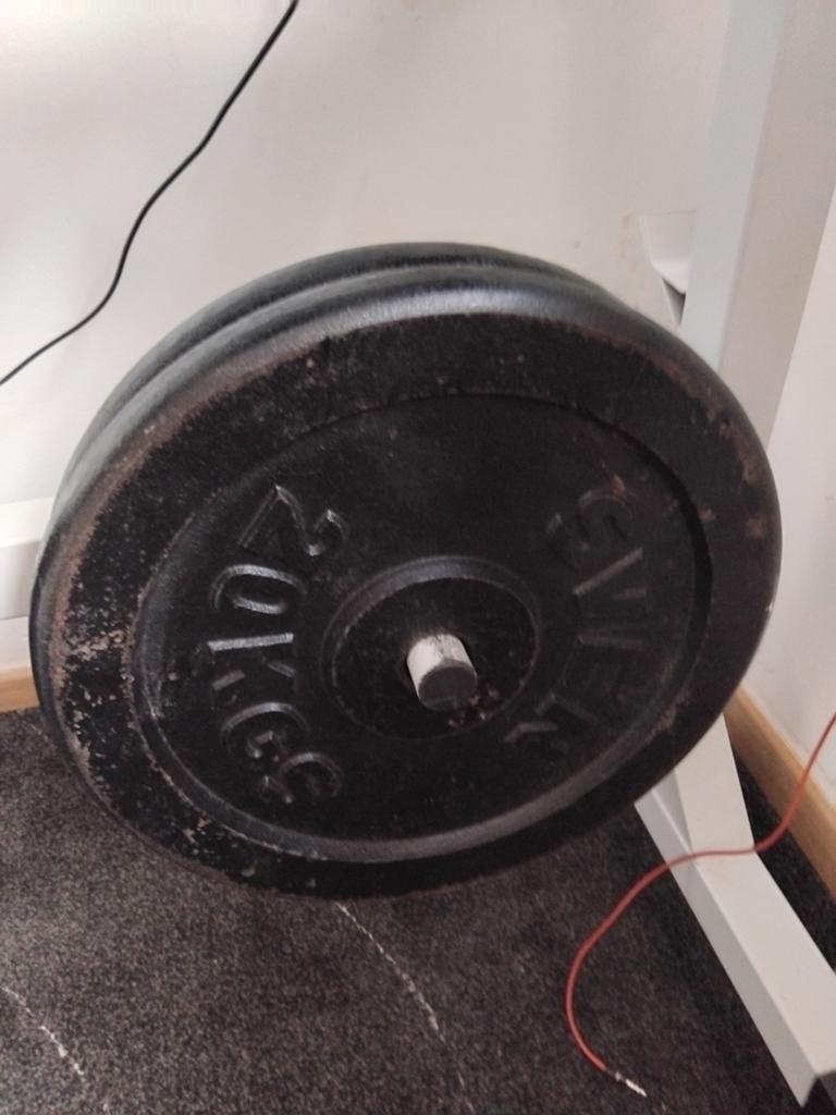 Gietijzeren schijven van 2x20kg, Sport en Fitness, Ophalen