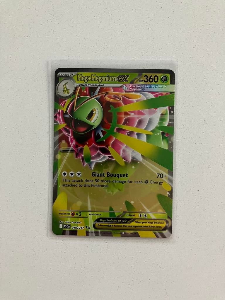Mega Meganium ex ( ASC 010), Ophalen of Verzenden, Nieuw