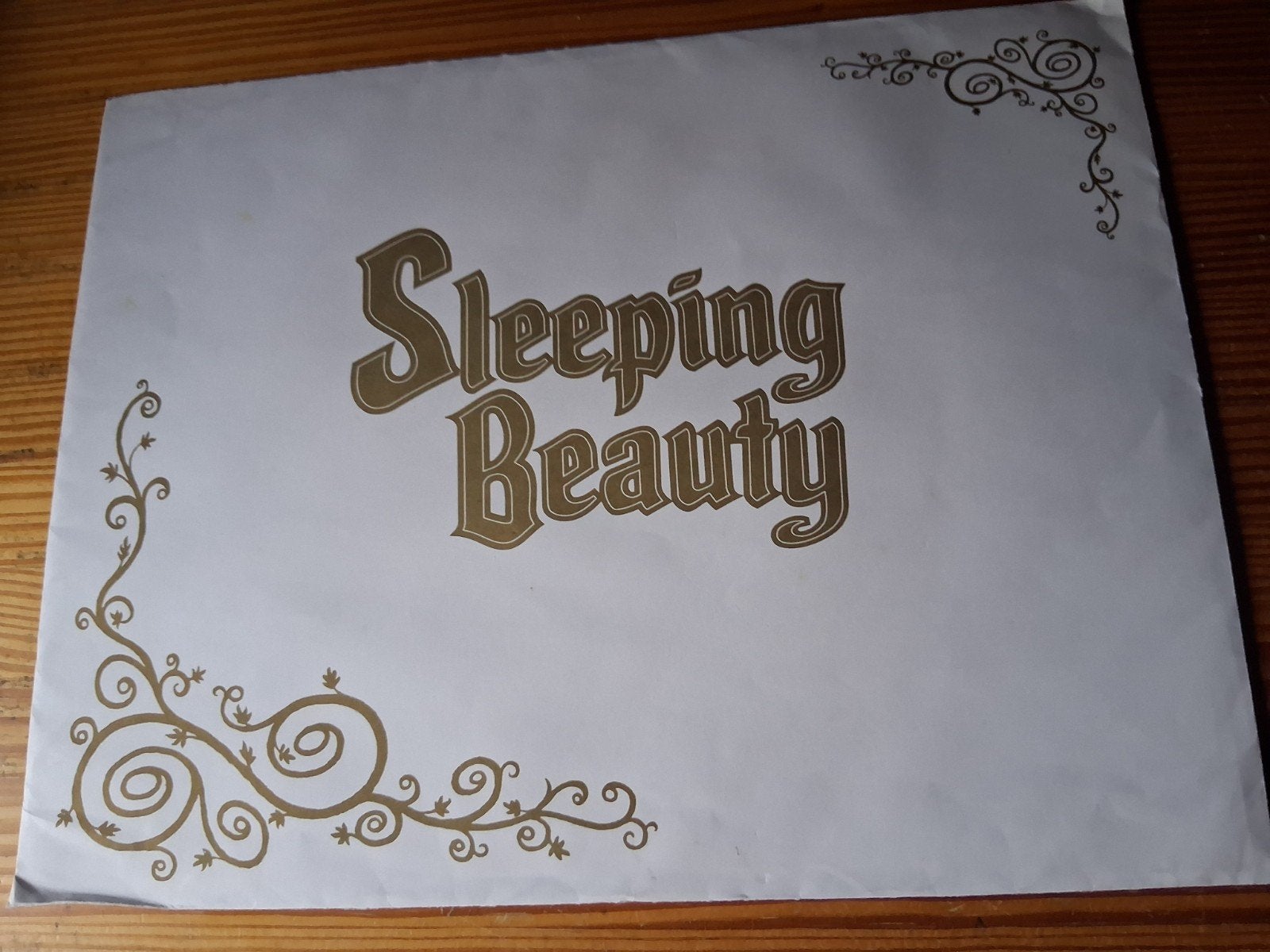 collectorsmap sleeping beauty, Collections, Disney, Enlèvement ou Envoi