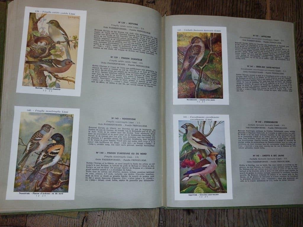 2 oude boeken van FORT vogels, begin 1900, Enlèvement ou Envoi