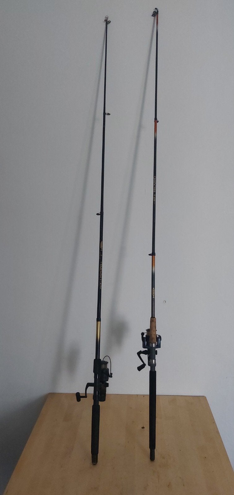 Canne à pêche