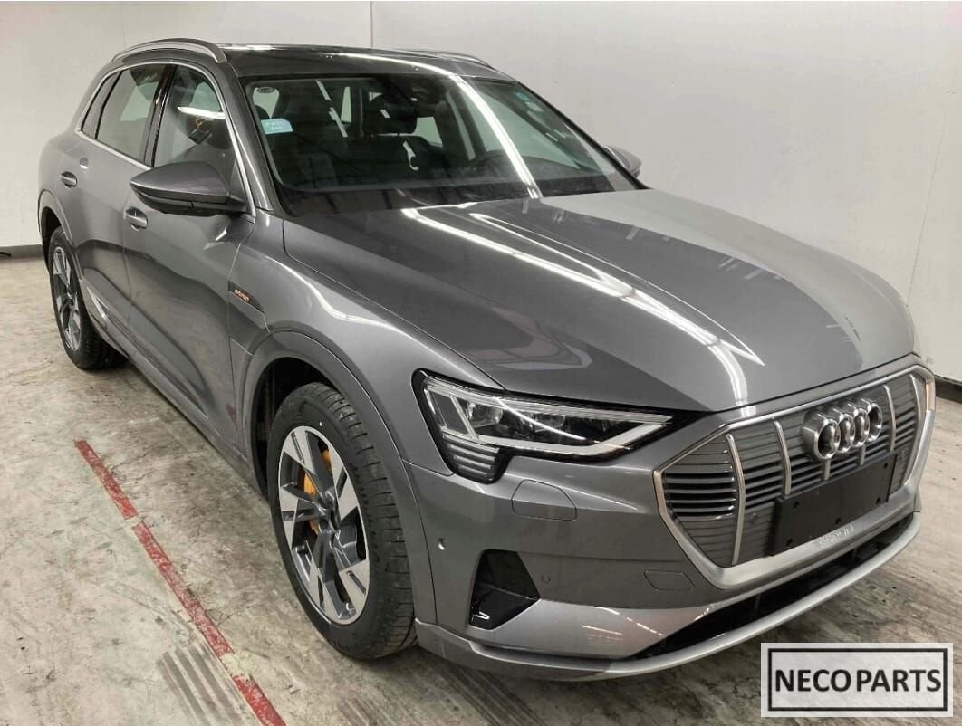 AUDI E TRON ETRON PORTIER DEUR KLEUR LZ7F ALLES LEVERBAAR !!, Gebruikt, -, Achter, -