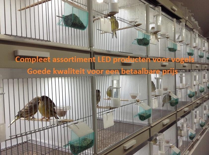 Uw kanaries huisvesten met Avicultuur-LED verlichting, Dieren en Toebehoren