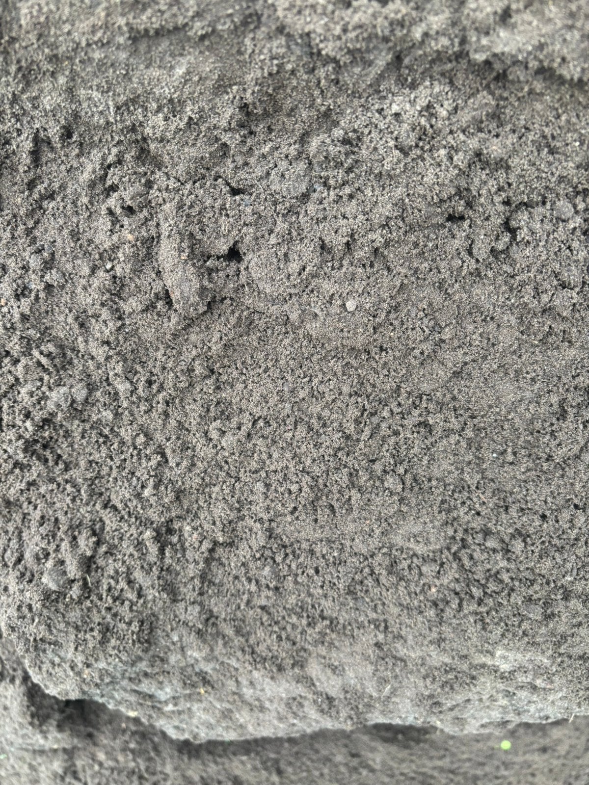 gezeefde zwarte grond/zand, Jardin & Terrasse, Terre & Fumier, Enlèvement ou Envoi