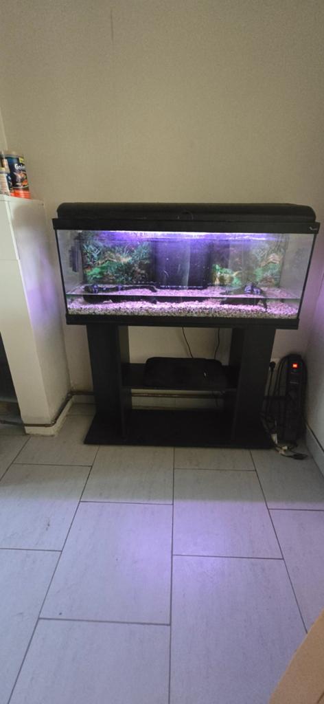 Aquarium 180L, Dieren en Toebehoren, Ophalen
