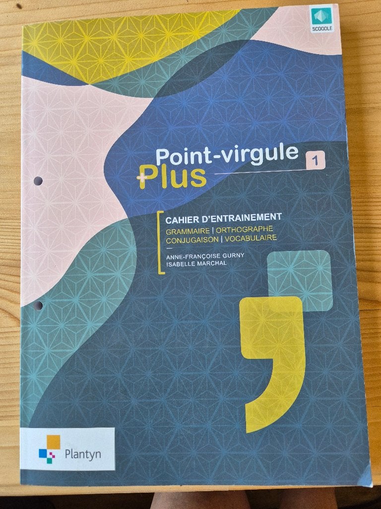 point virgule cahier d'entraînement  1e secondaire, Livres, Neuf, Enlèvement ou Envoi, Plantyn, Français