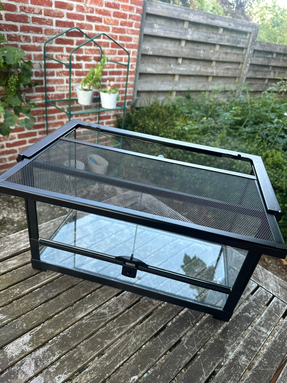 Terrarium te koop, Ophalen, Zo goed als nieuw