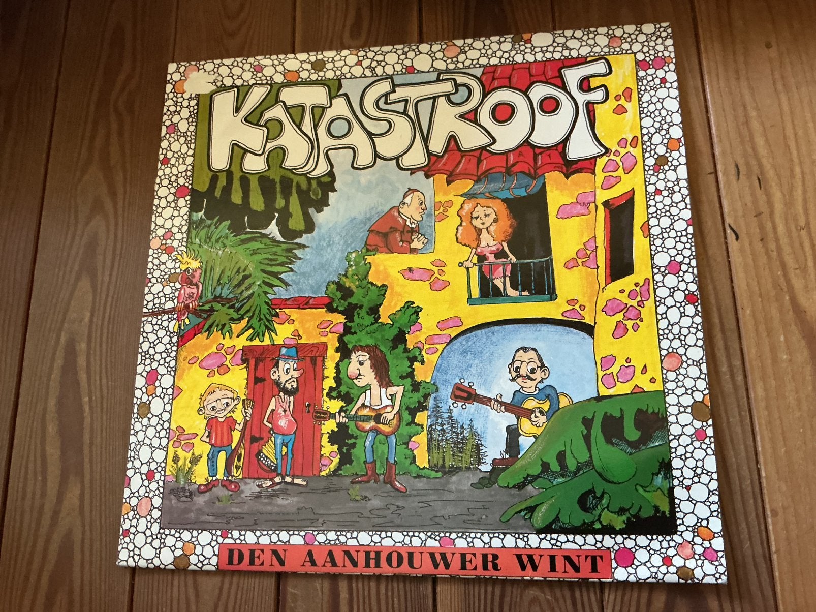 LP Katastroof - den aanhouwer wint, Cd's en Dvd's, Ophalen of Verzenden, Gebruikt, LP