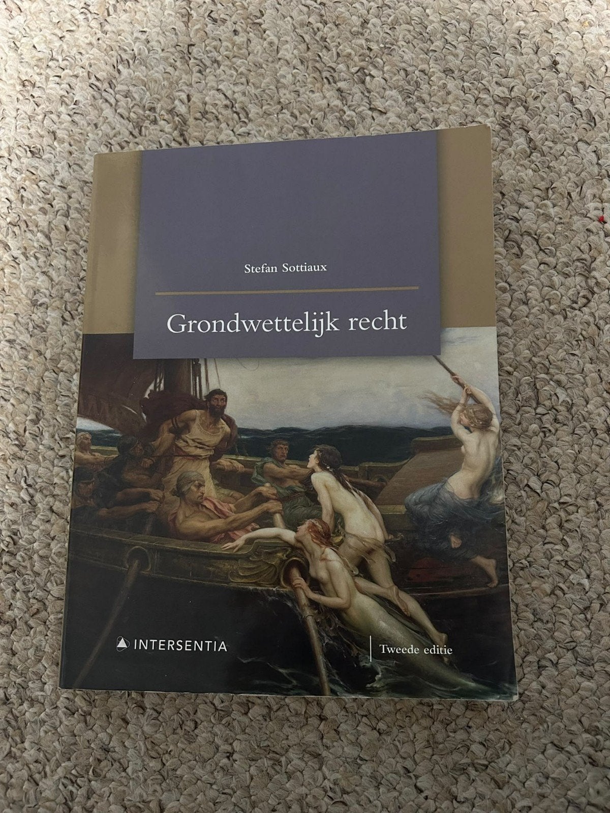 Grondwettelijk recht boek, Ophalen of Verzenden, Gelezen, Hoger Onderwijs, Stefan Sottiaux