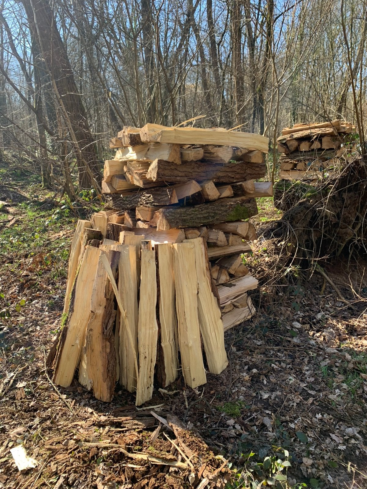 Bois de chauffage en 1 m, Jardin & Terrasse, 6 m³ ou plus, Enlèvement, Frêne, Bûches
