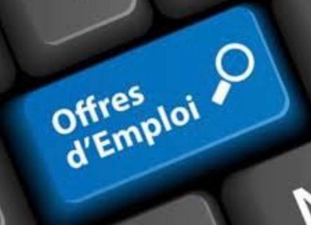 Offre d emploi