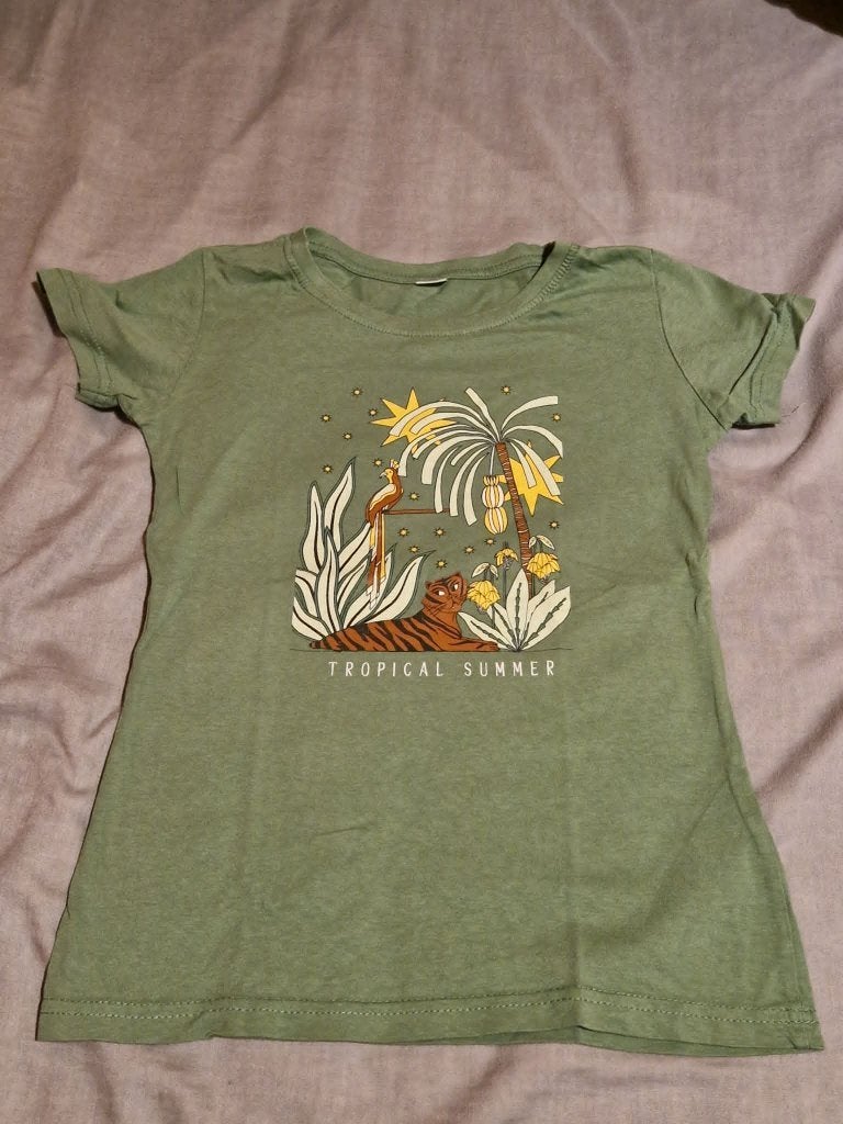 t-shirt maat 146-152, Enfants & Bébés, Vêtements enfant | Taille 146, Zeeman, Enlèvement ou Envoi, Chemise ou À manches longues
